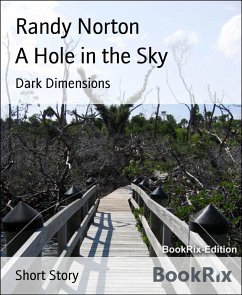 A Hole in the Sky (eBook, ePUB) - Norton, Randy