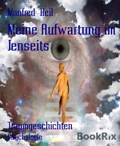 Meine Aufwartung im Jenseits (eBook, ePUB) - Heil, Manfred