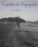 Versprechen der Vergangenheit (eBook, ePUB)