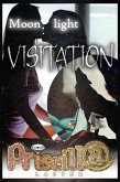 Moonlight Visitation (eBook, ePUB)