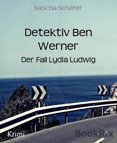 Detektiv Ben Werner (eBook, ePUB) - Schäfer, Sascha