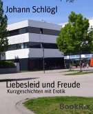 Liebesleid und Freude (eBook, ePUB)