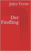 Der Findling (eBook, ePUB)