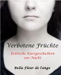 Verbotene Früchte (eBook, ePUB) - Bild 1