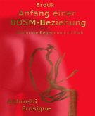 Anfang einer BDSM-Beziehung (eBook, ePUB)