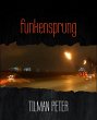 funkensprung (eBook, ePUB) - Bild 1