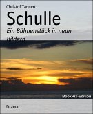 Schulle (eBook, ePUB)