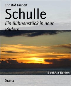 Schulle (eBook, ePUB) - Tannert, Christof