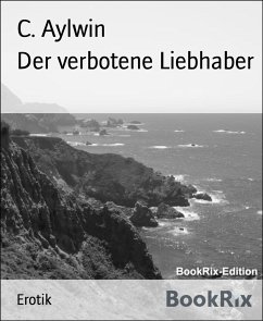 Der verbotene Liebhaber (eBook, ePUB) - Aylwin, C.