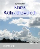 Klaras Weihnachtswunsch (eBook, ePUB)