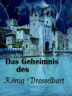 Das Geheimnis des König Drosselbart (eBook, ePUB) - Tora, J.M.