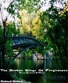 The broken wings of forgiveness (eBook, ePUB)