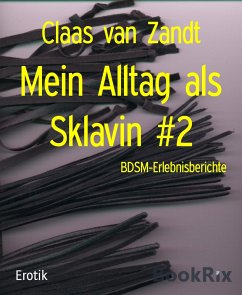 Mein Alltag als Sklavin #2 (eBook, ePUB) - van Zandt, Claas