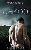 Jakob (eBook, ePUB)
