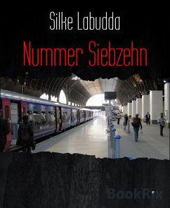 Nummer Siebzehn (eBook, ePUB) - Labudda, Silke