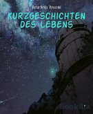 Kurzgeschichten des Lebens (eBook, ePUB)