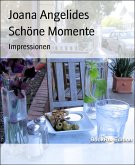 Schöne Momente (eBook, ePUB)