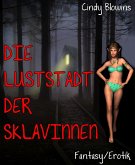 Die Luststadt der Sklavinnen (eBook, ePUB)