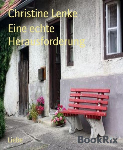 Eine echte Herausforderung (eBook, ePUB)