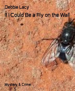 If I Could Be a Fly on the Wall (eBook, ePUB) - Lacy, Debbie