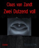 Zwei Dutzend voll (eBook, ePUB)