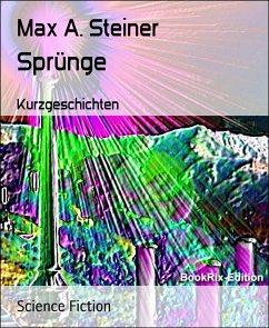 Sprünge (eBook, ePUB) - A. Steiner, Max