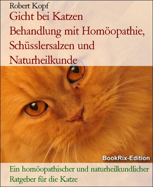Homöopathie Katze Schmerzen