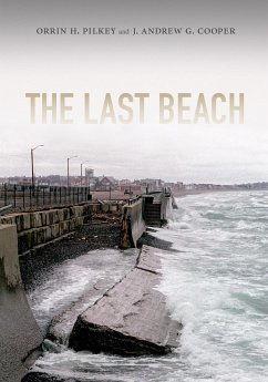 Cover Last Beach (eBook, PDF)