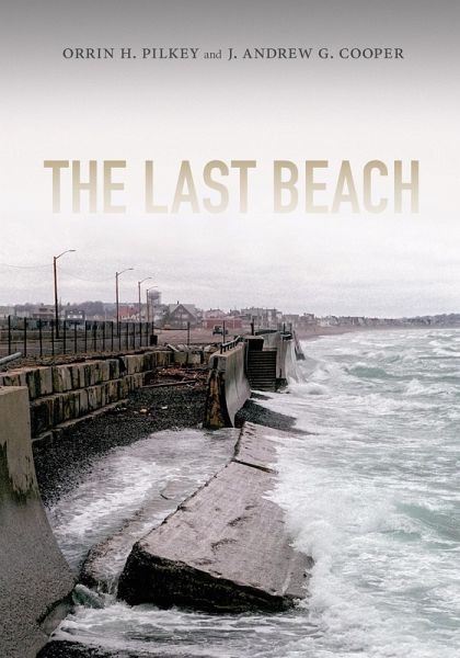 Last Beach (eBook, PDF)