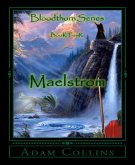 Maelstrom (eBook, ePUB)