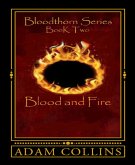 Blood and Fire (eBook, ePUB)