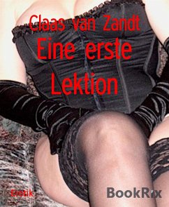 Eine erste Lektion (eBook, ePUB) - van Zandt, Claas