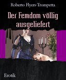 Der Femdom völlig ausgeliefert (eBook, ePUB)