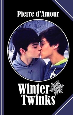 Winter Twinks (eBook, ePUB) - d&apos;Amour, Pierre