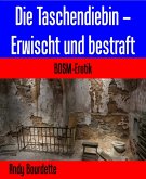 Die Taschendiebin - Erwischt und bestraft (eBook, ePUB)