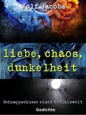 liebe, chaos, dunkelheit (eBook, ePUB)