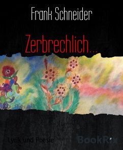 Zerbrechlich... (eBook, ePUB) - Schneider, Frank