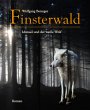 Finsterwald (eBook, ePUB) - Bild 1