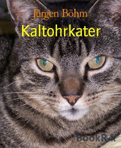 Kaltohrkater (eBook, ePUB) - Böhm, Jürgen