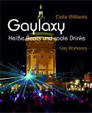 Gaylaxy - Heiße Beats und coole Drinks (eBook, ePUB)