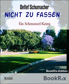 Nicht zu fassen (eBook, ePUB) - Schumacher, Detlef