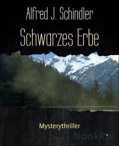 Schwarzes Erbe (eBook, ePUB) - Schindler, Alfred J.