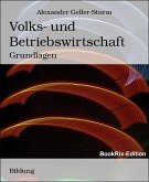 Volks- und Betriebswirtschaft (eBook, ePUB)