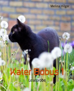 Kater Bobus 1 (eBook, ePUB) - Hilger, Melina