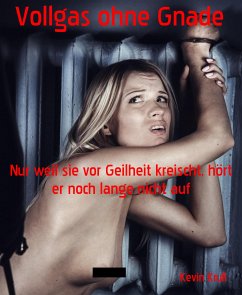 Vollgas ohne Gnade (eBook, ePUB) - Krull, Kevin