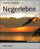 Negerleben (eBook, ePUB)