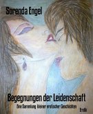 Begegnungen der Leidenschaft (eBook, ePUB)