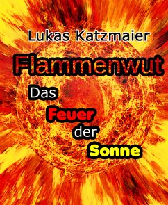 Flammenwut (eBook, ePUB) - Katzmaier, Lukas