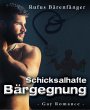 Schicksalhafte Bärgegnung (eBook, ePUB) - Bild 1