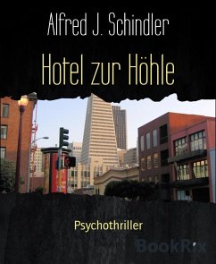 Hotel zur Höhle (eBook, ePUB) - Schindler, Alfred J.